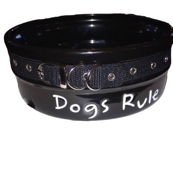 Dog's Rule Dog Dish Black Ceramic Removable Collar - Picture 1 of 4